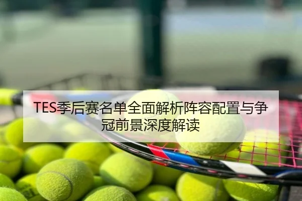 TES季后赛名单全面解析阵容配置与争冠前景深度解读