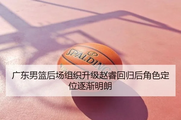 广东男篮后场组织升级赵睿回归后角色定位逐渐明朗